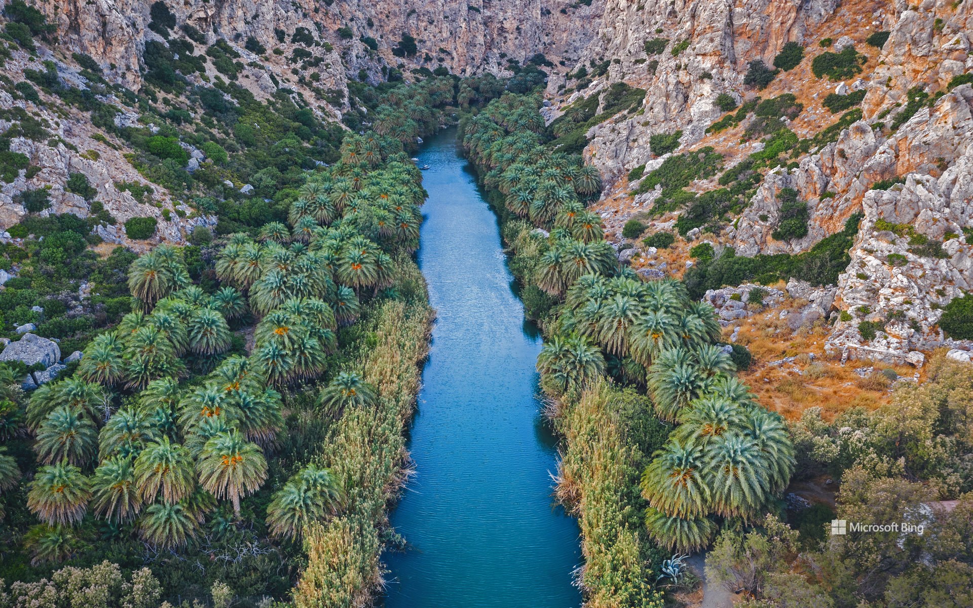 Gorge de Preveli avec rivière et forêt de palmiers, La Canée du Sud, Crète, Grèce (© borchee/Getty Images)