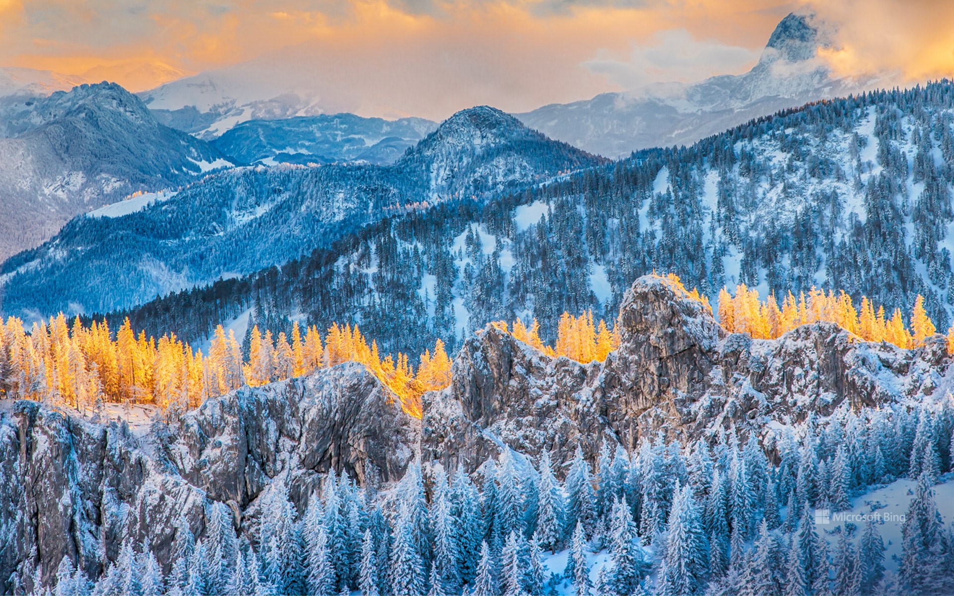 坎彭万德山，基姆高地区阿绍，德国巴伐利亚州 (© Toni Anzenberger/plainpicture)